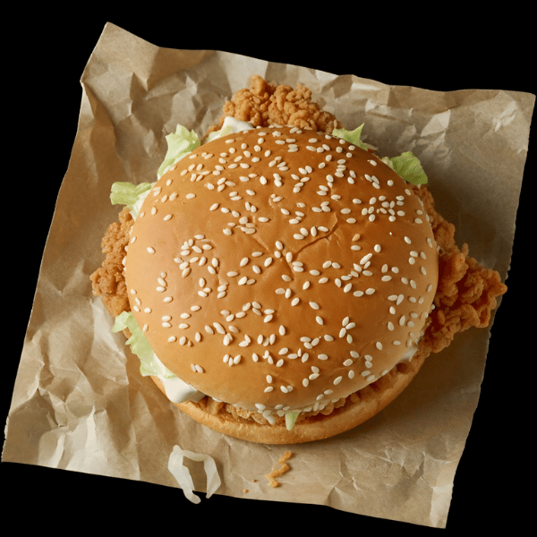 FUSION BURGER